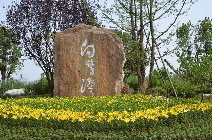 成都智絡(luò)軟件7月戶外拓展活動